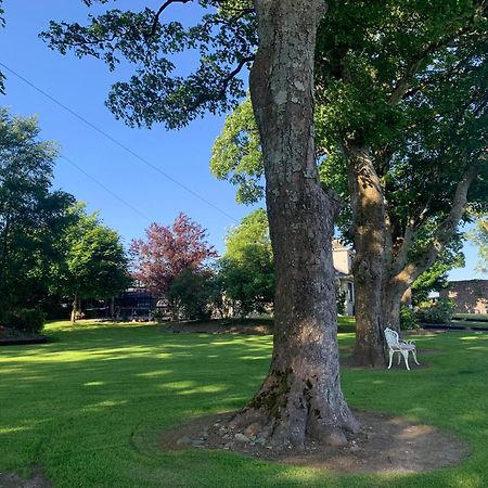 Town View Villa Killarney Dış mekan fotoğraf